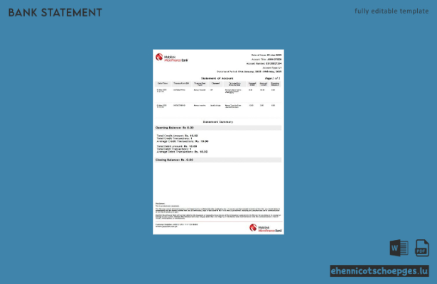 Beispiel eines Kontoauszugs der pakistanischen Mobilink Microfinance Bank (Word-Vorschau)